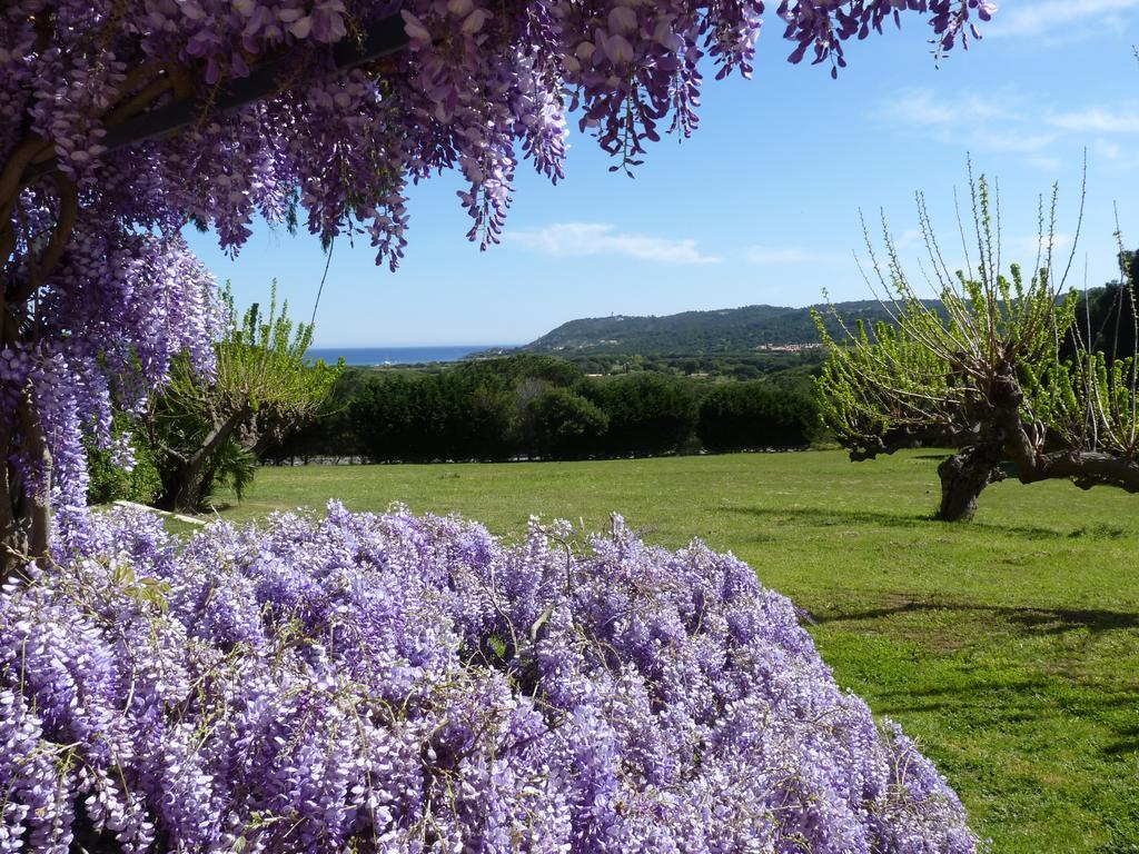 Residence Les Sellettes Saint-Tropez Luaran gambar